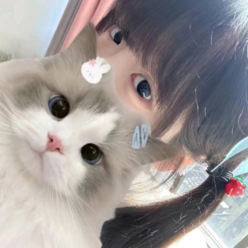 小卡卡神
