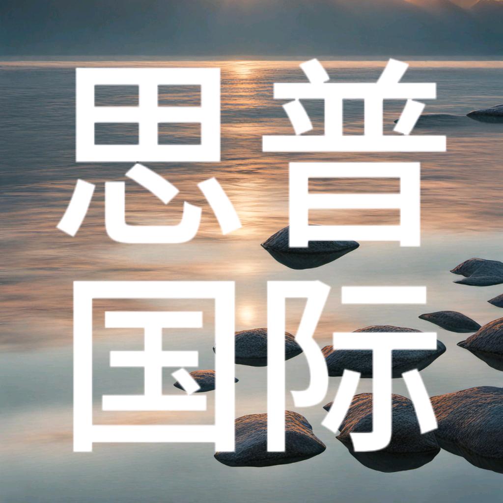 思普国际移民搬家