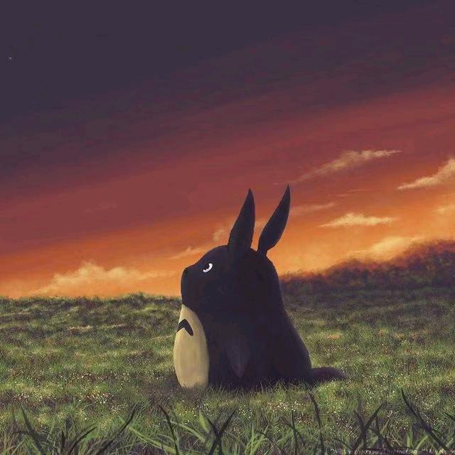 小鱼干