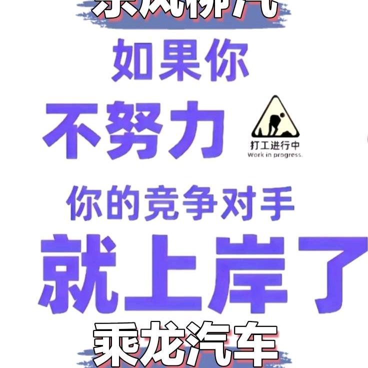 A广西二手车🌚「单桥自卸车乘龙货车」小