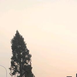 拧巴结