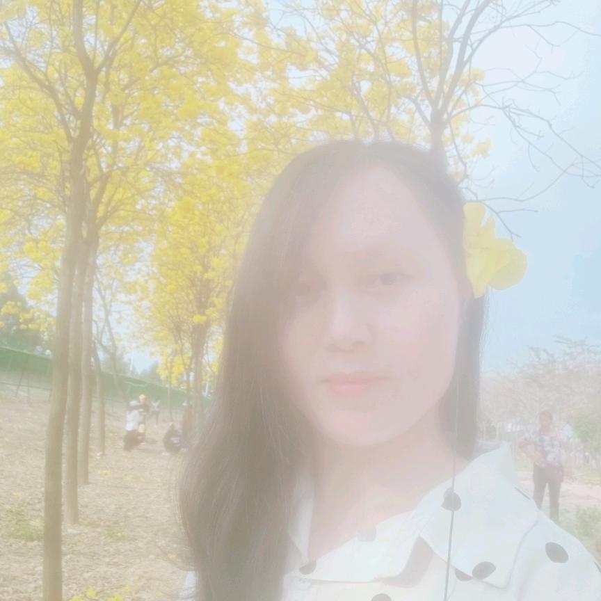 一季花开的等待