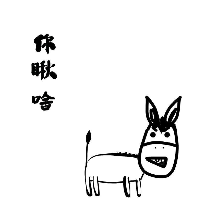 是小琳子啊