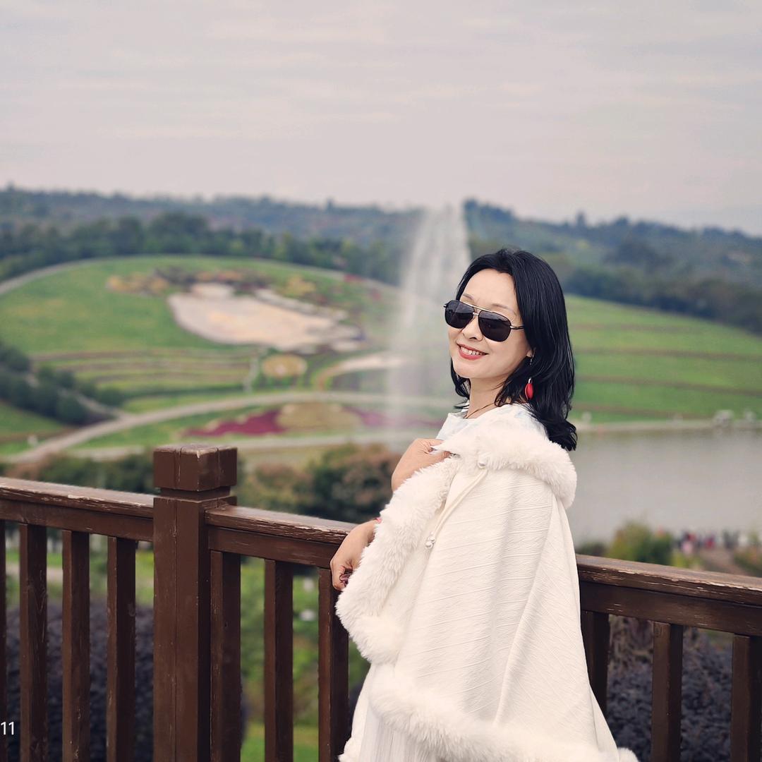 自在飞花