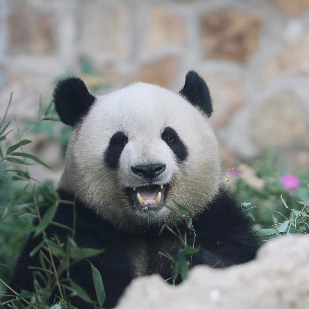 晴天🌞