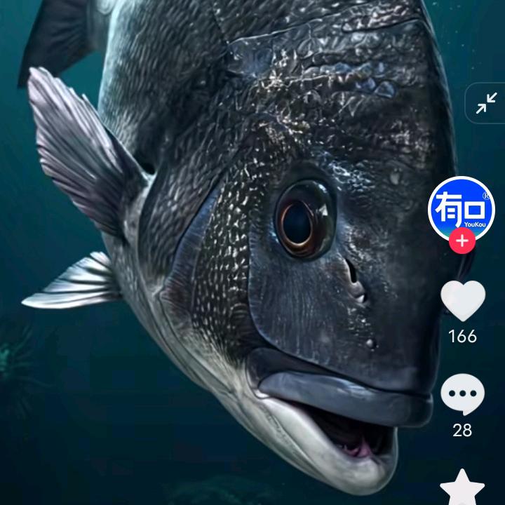 Aji林