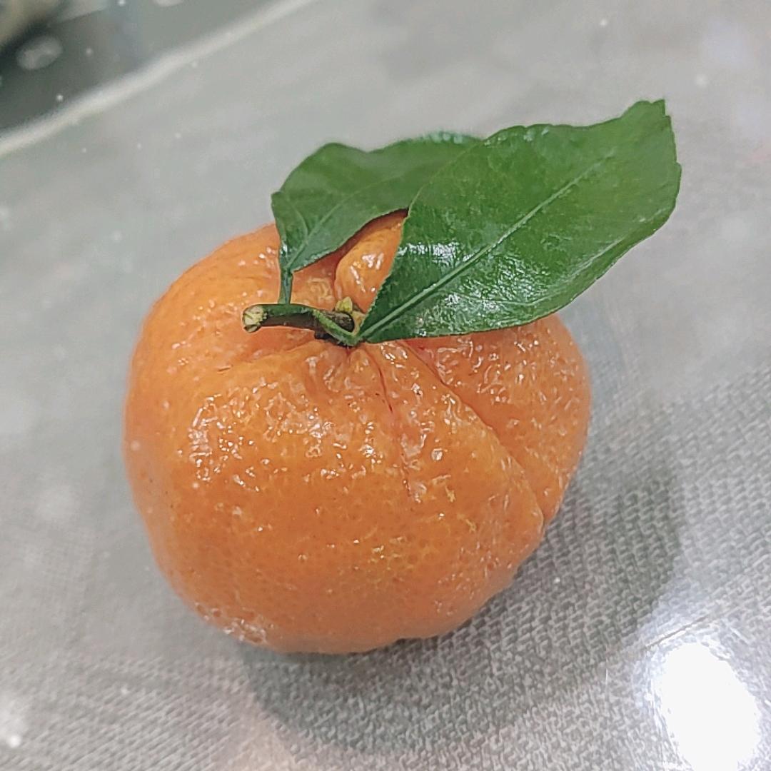 辉哥点评（主持）