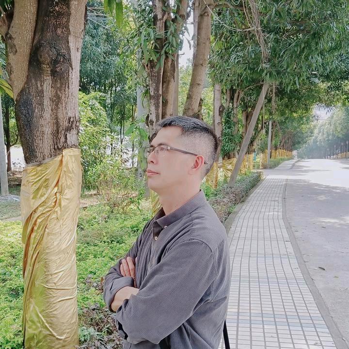 大术(早9：10首播)开