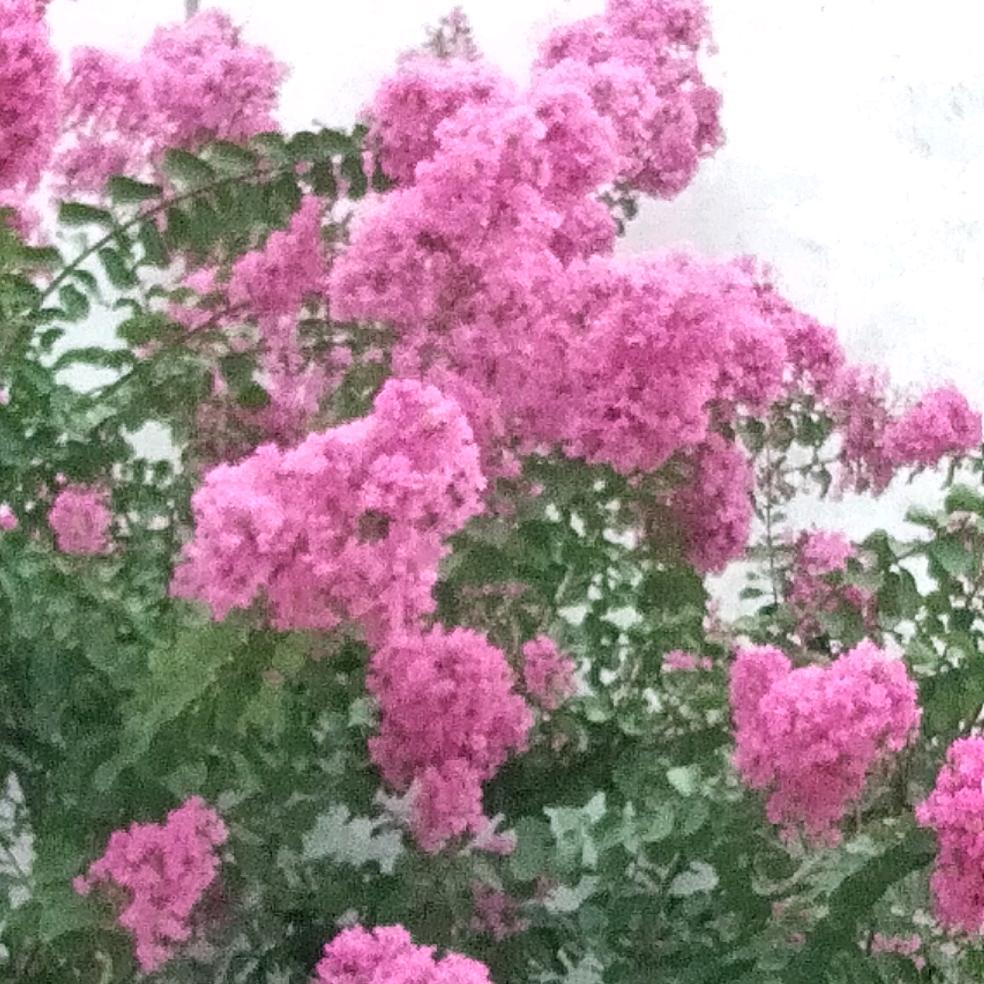 云烟姐٩(๛ ˘ ³˘)۶❤