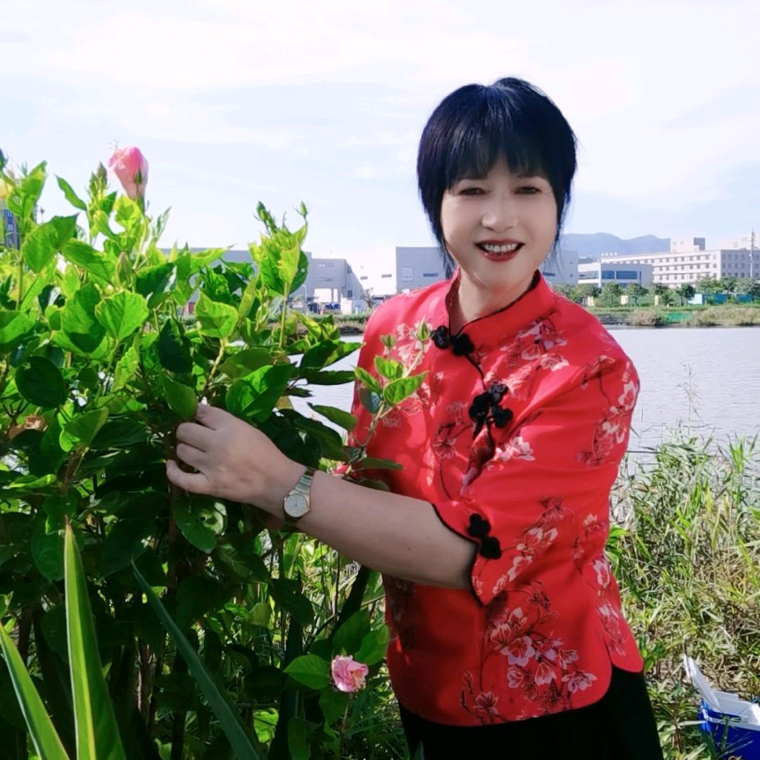 萍果