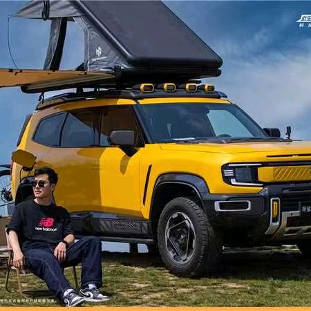 扬州市祝老三看车