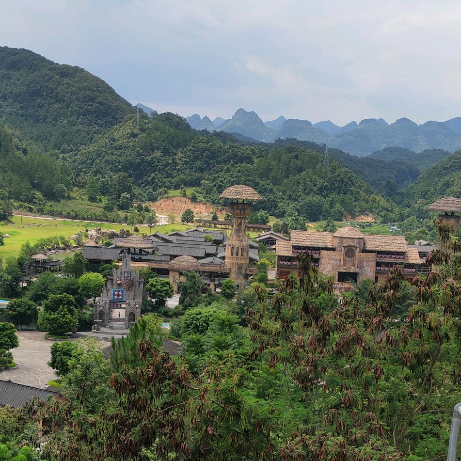 春风一杯酒（可私聊）