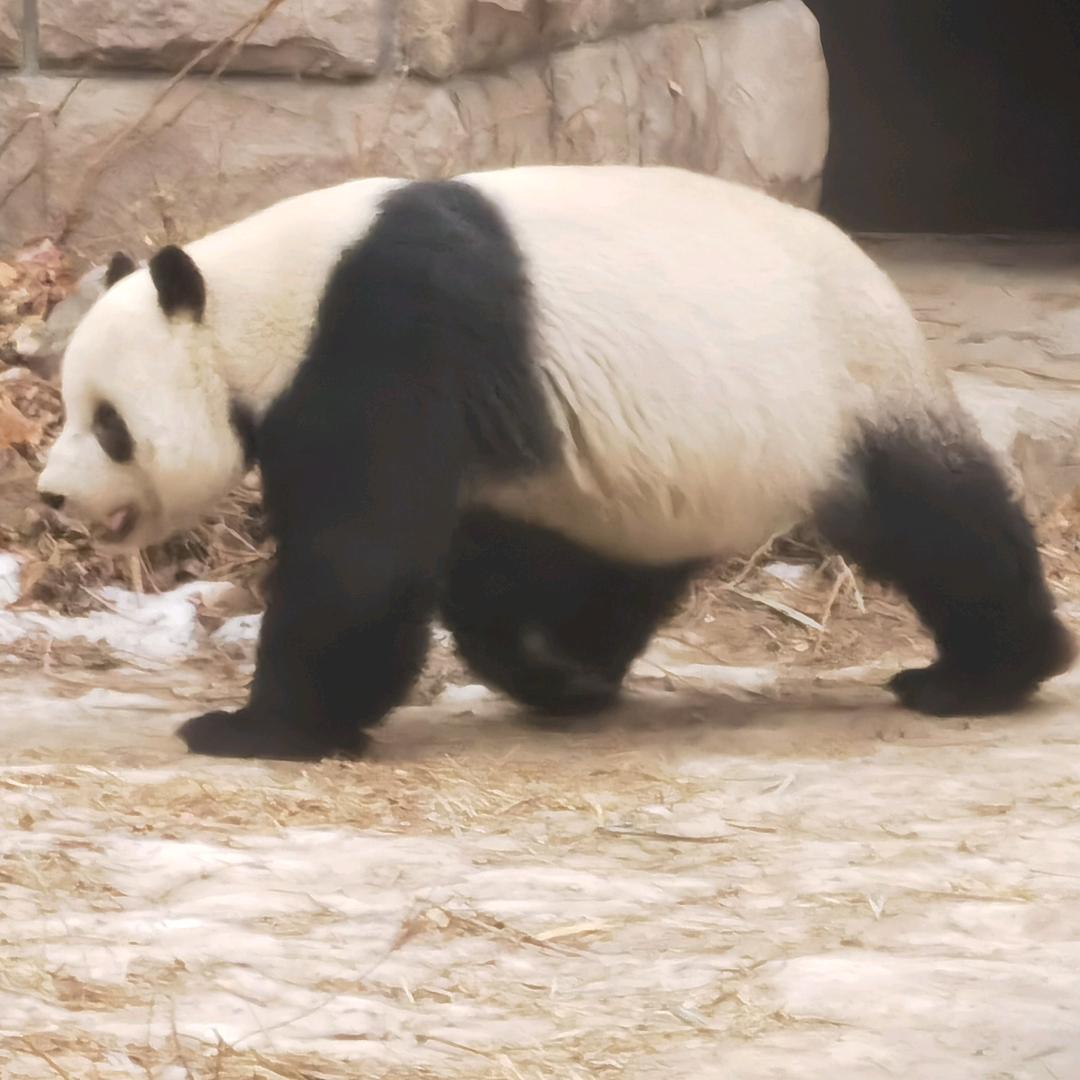 享受生活૮₍˃̶ꇴ˂̶₎ა