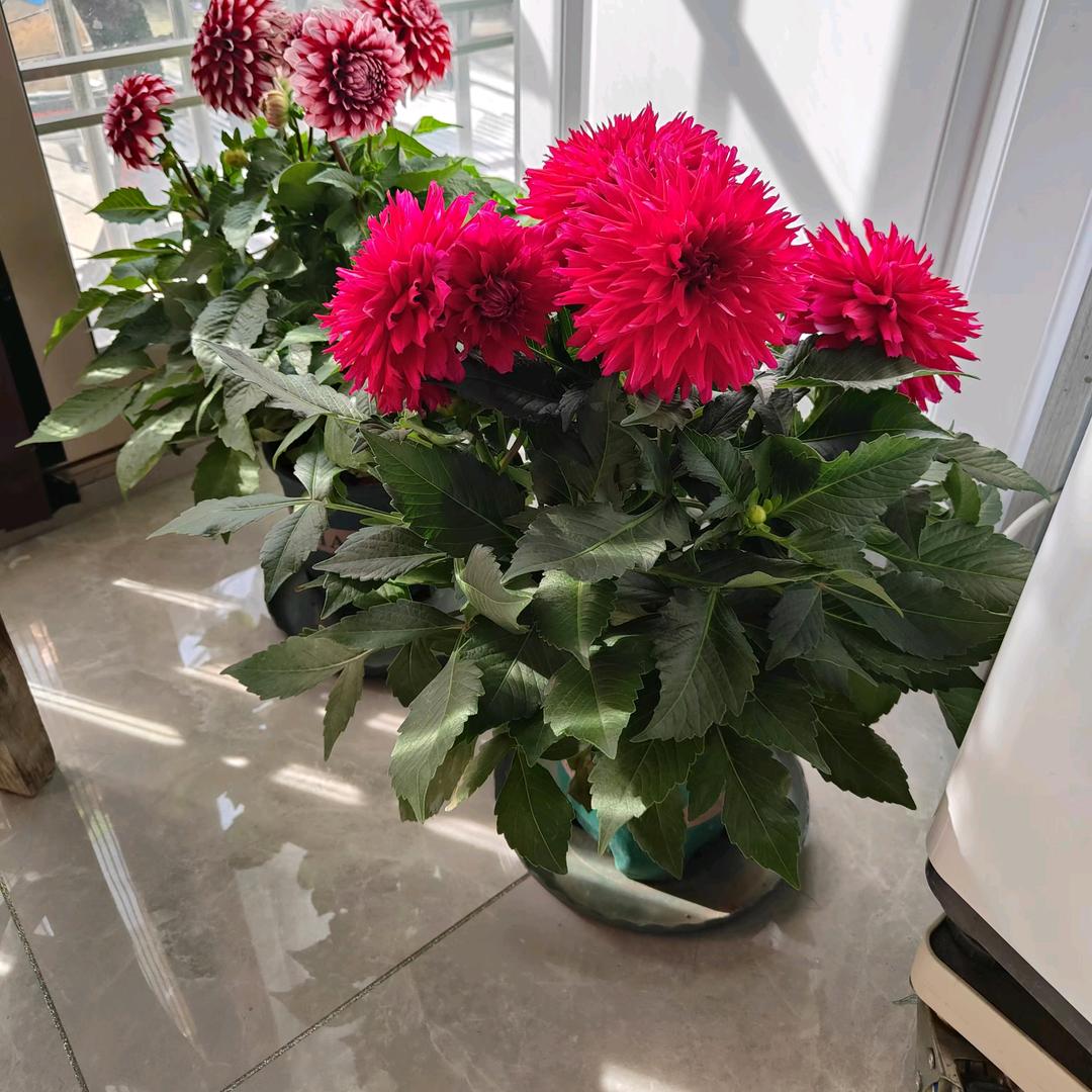 合肥市瑶海区丽庆家居用品经营部