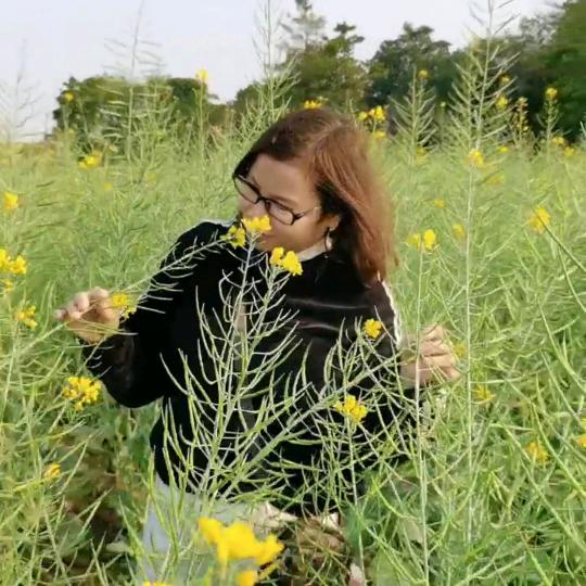 〈醉玲珑〉
