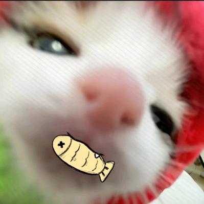 姛.