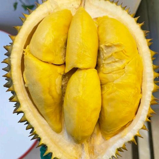 天目生鲜