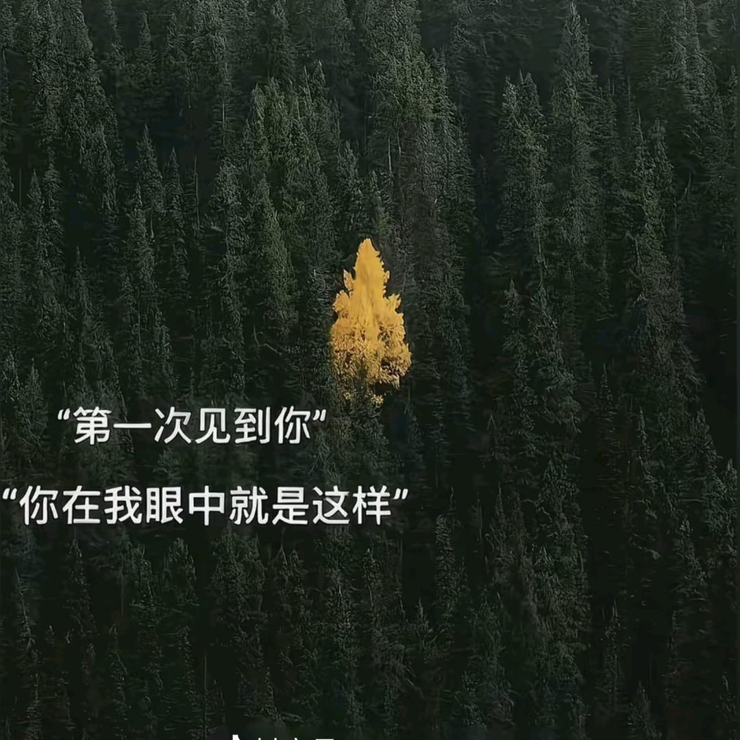 筱柒