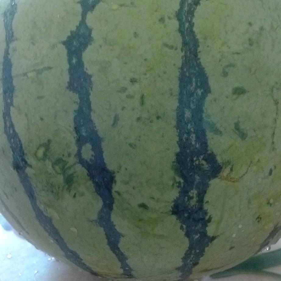 分享好句子