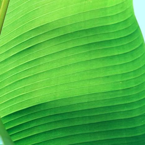 咖啡補给站Coffee Station