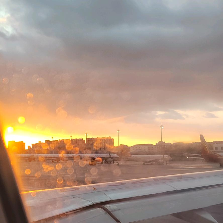 爱做饭的小胖刀