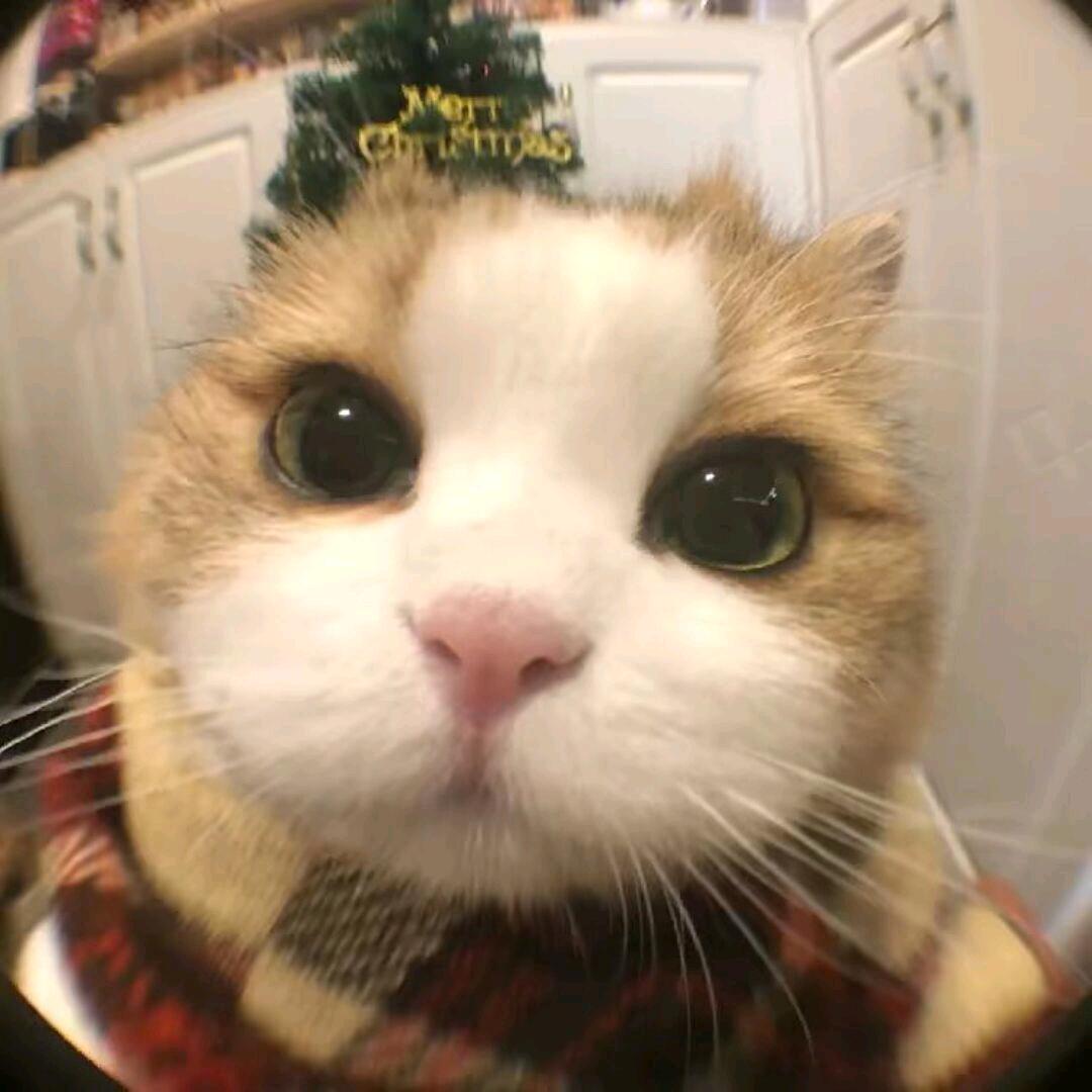 小楼