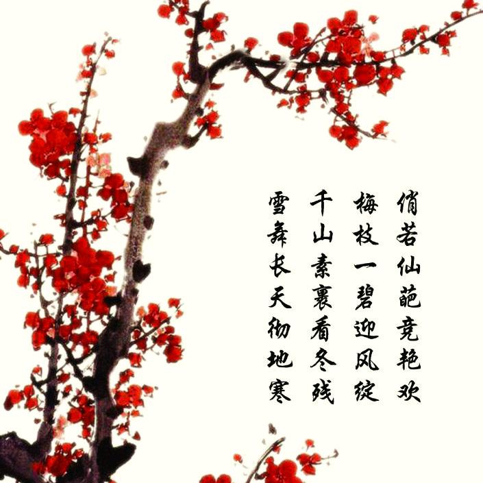 堇腾飞