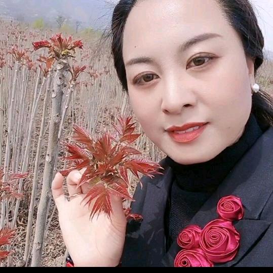 严总和婆婆