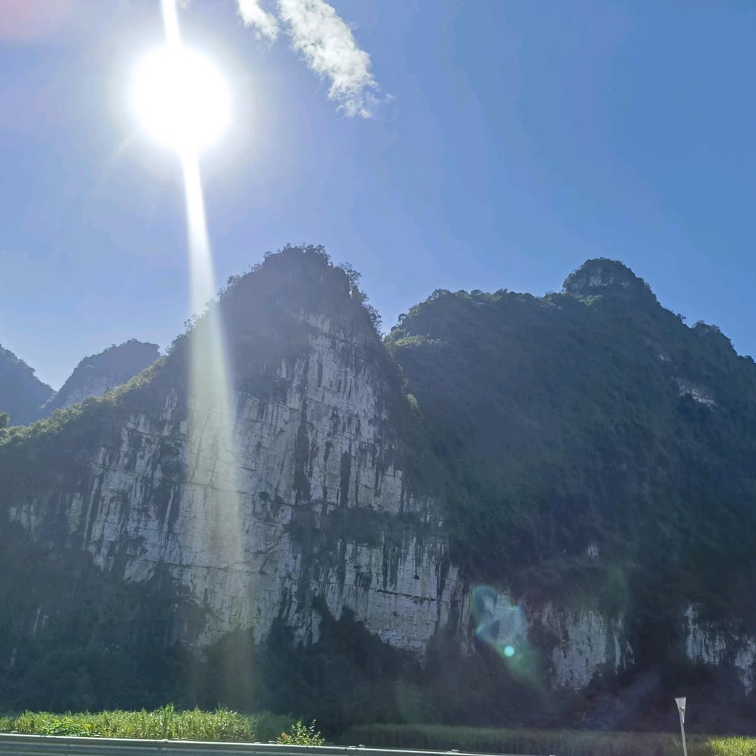 楠得糊涂
