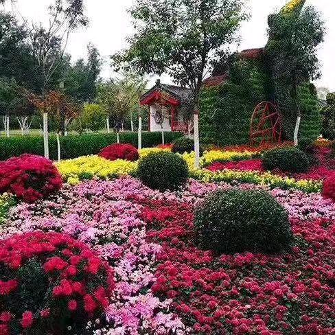 岁月静好