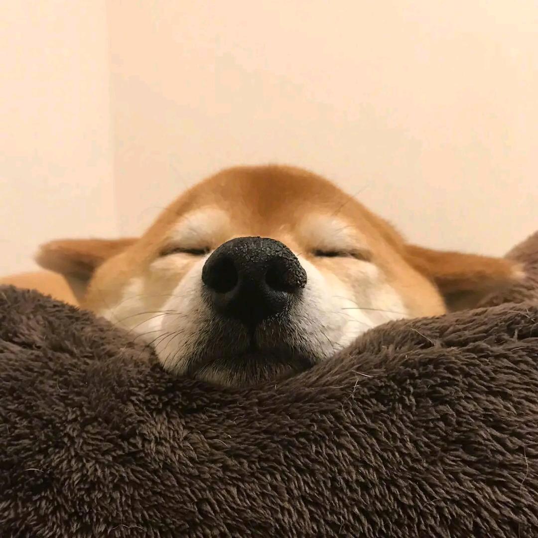 听戏