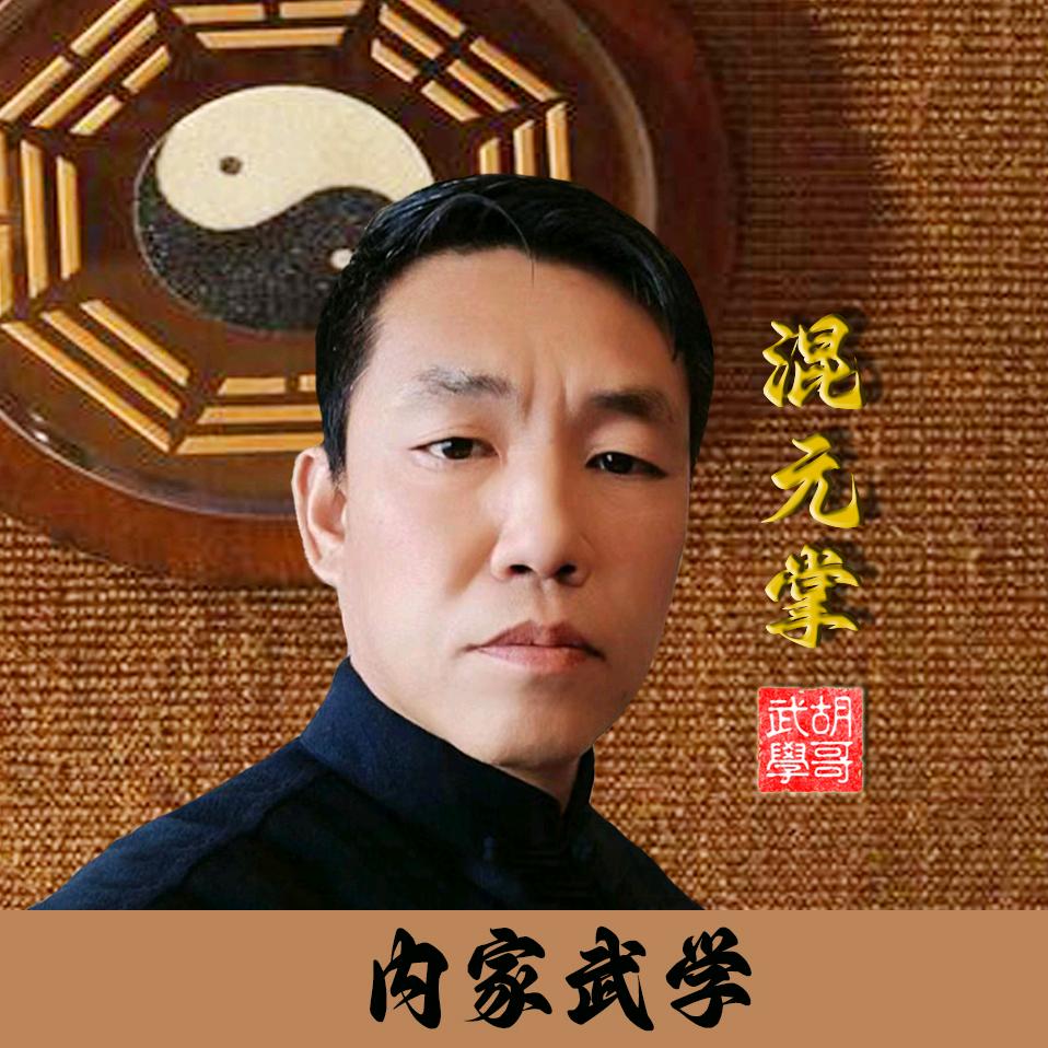 混元掌武学胡哥