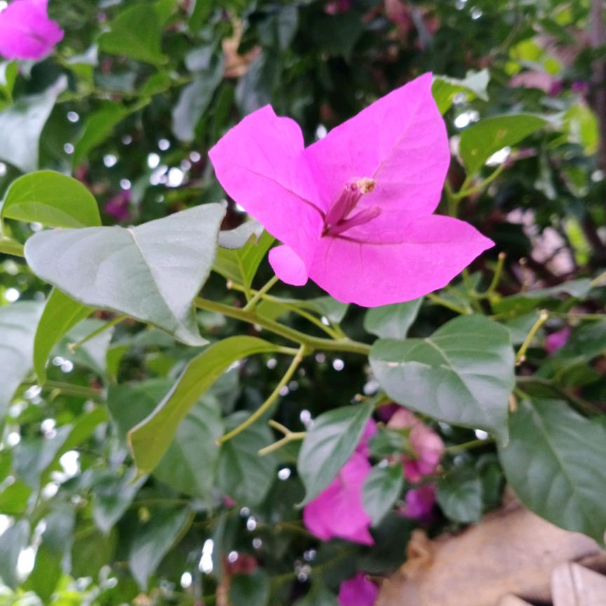 YAN(ง •̀_•́)ง艳