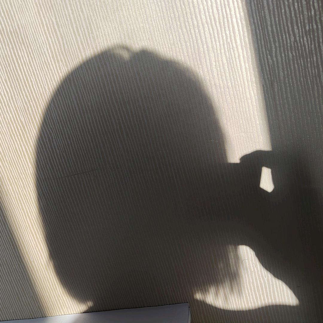 睡不醒的阿静