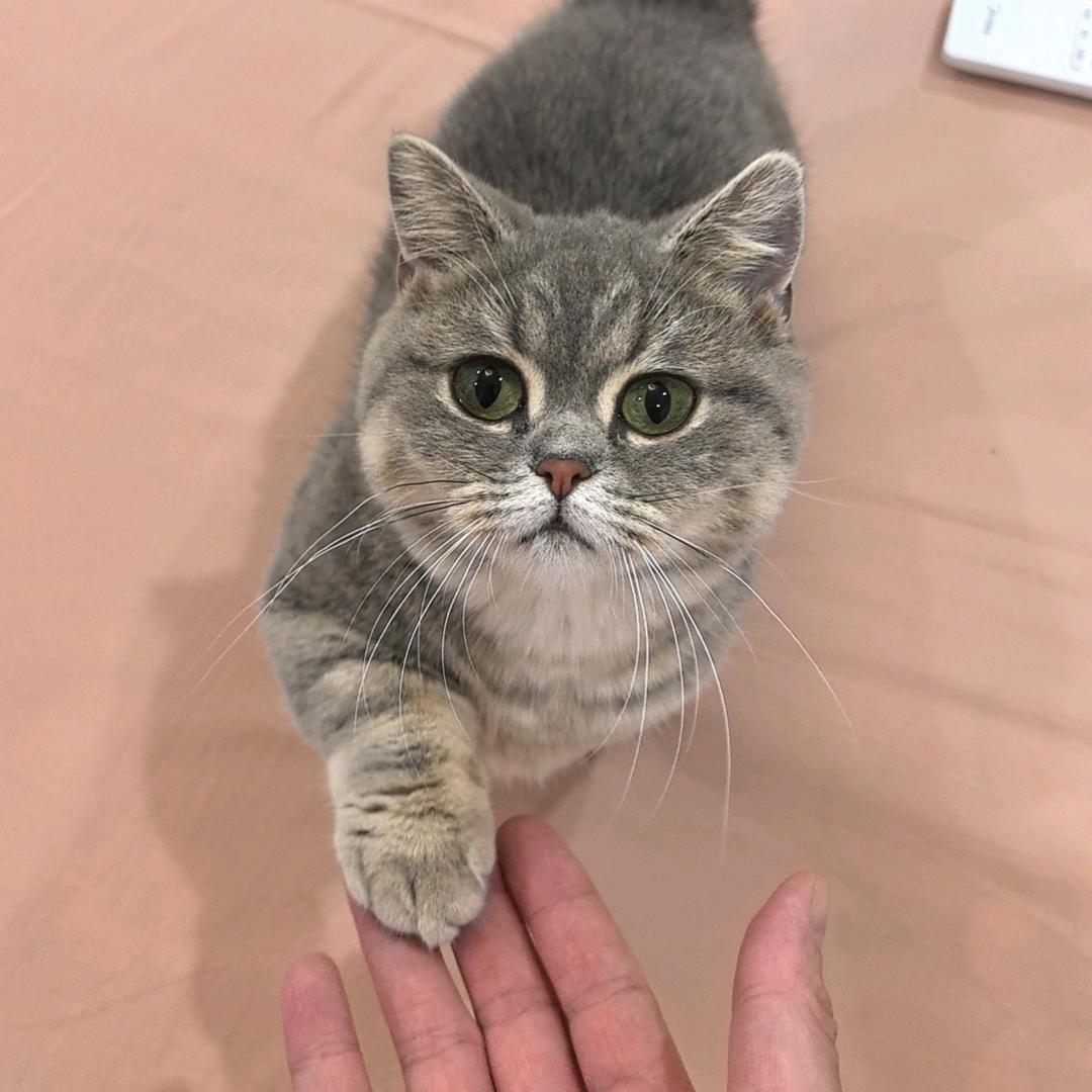 三十七