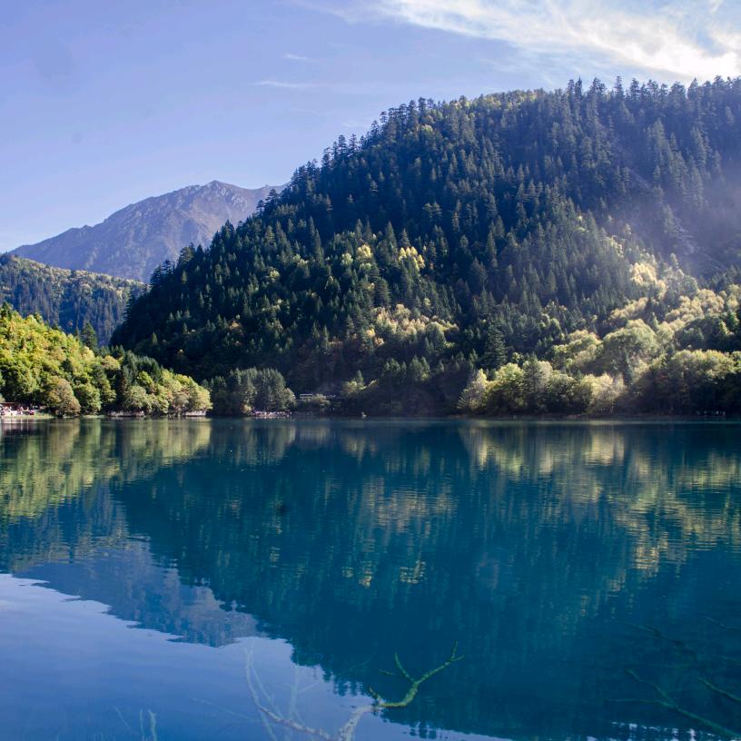 天天没烦恼🌞☀️😍☀️🌞