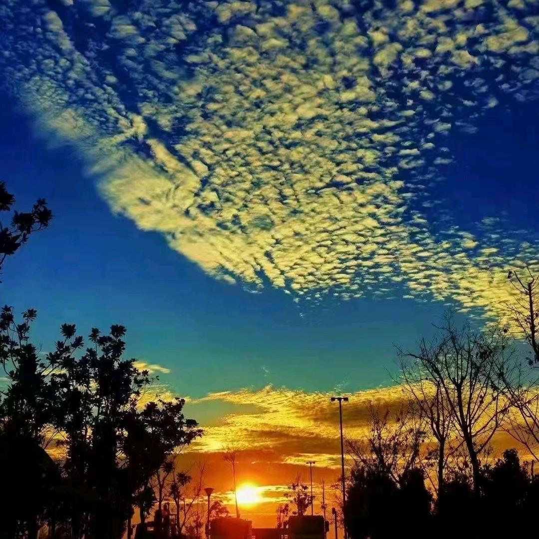 云南旅游规划师