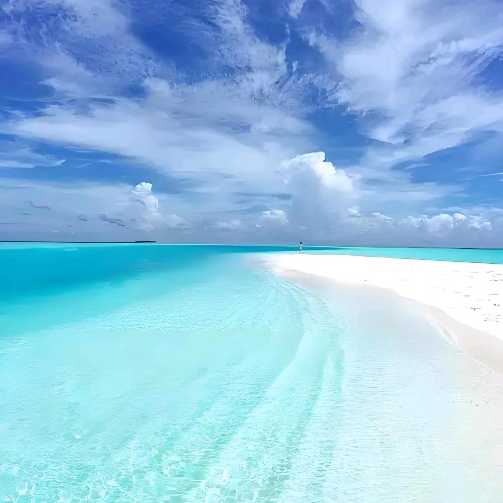 所念皆星海，星海皆是你