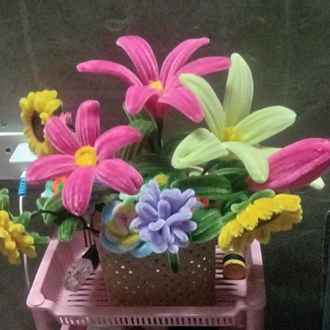 四叶草💐(/ε＼*)