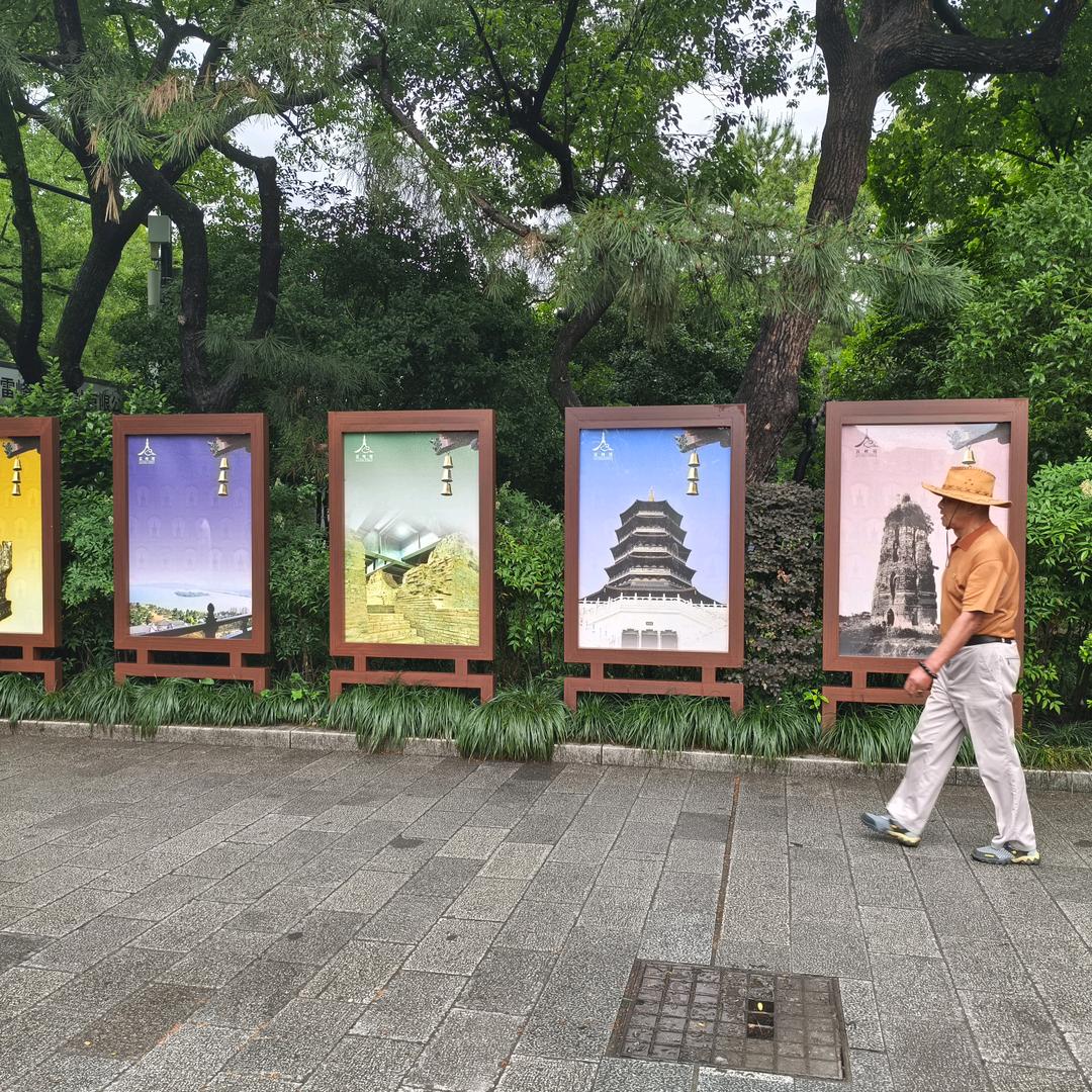 毛脸雷公嘴
