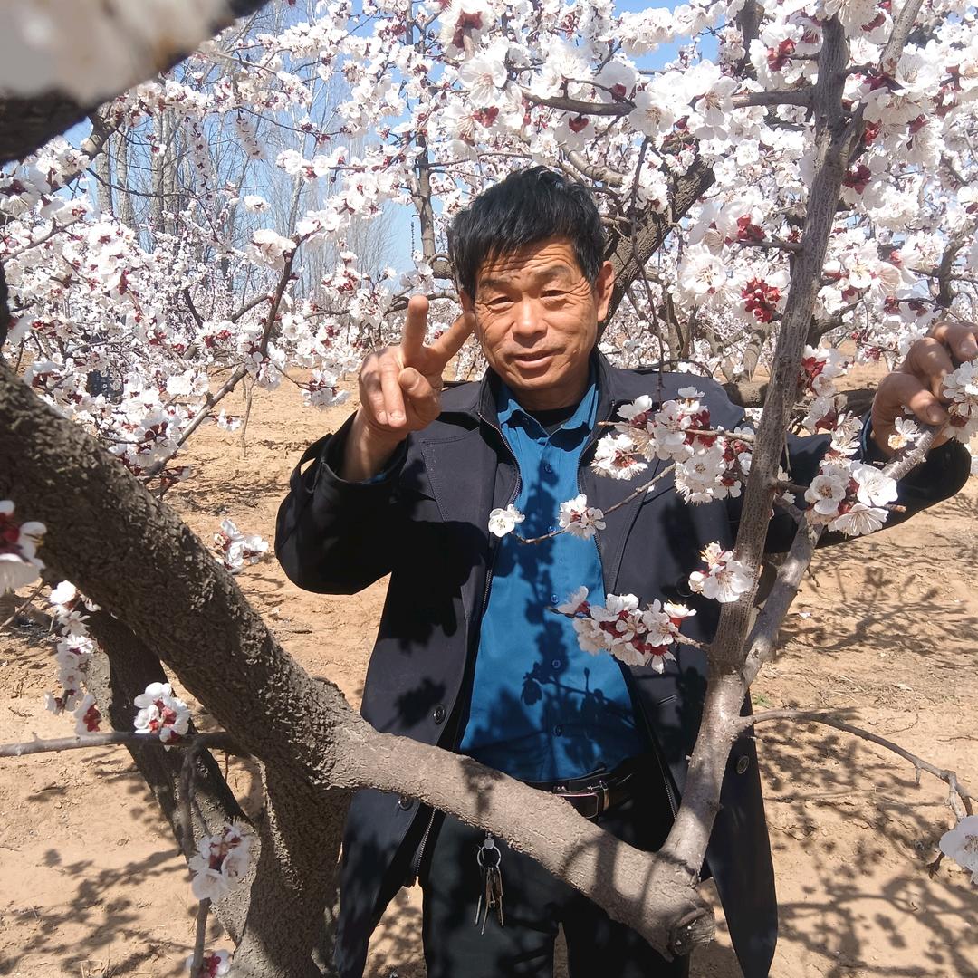 平安一生