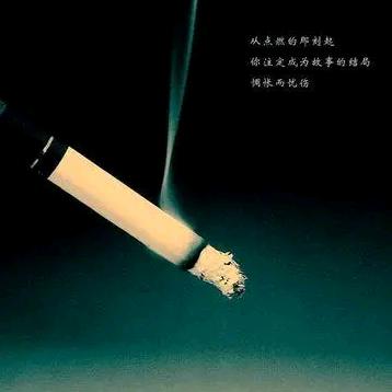 拜拜，睡觉咯！