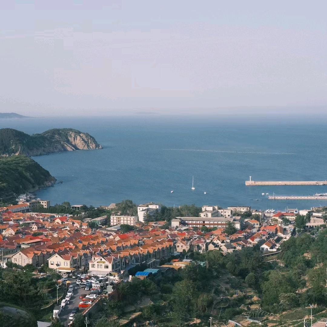 …………………………