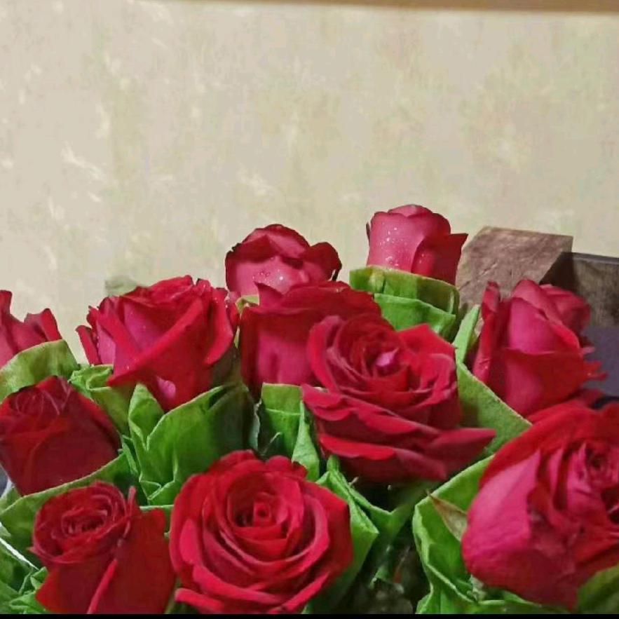 🌹春暖花开🌹