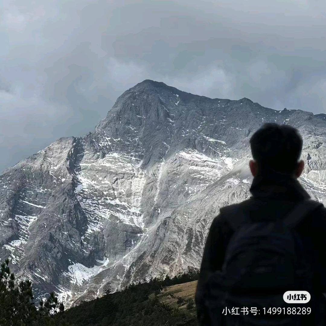 楠骏