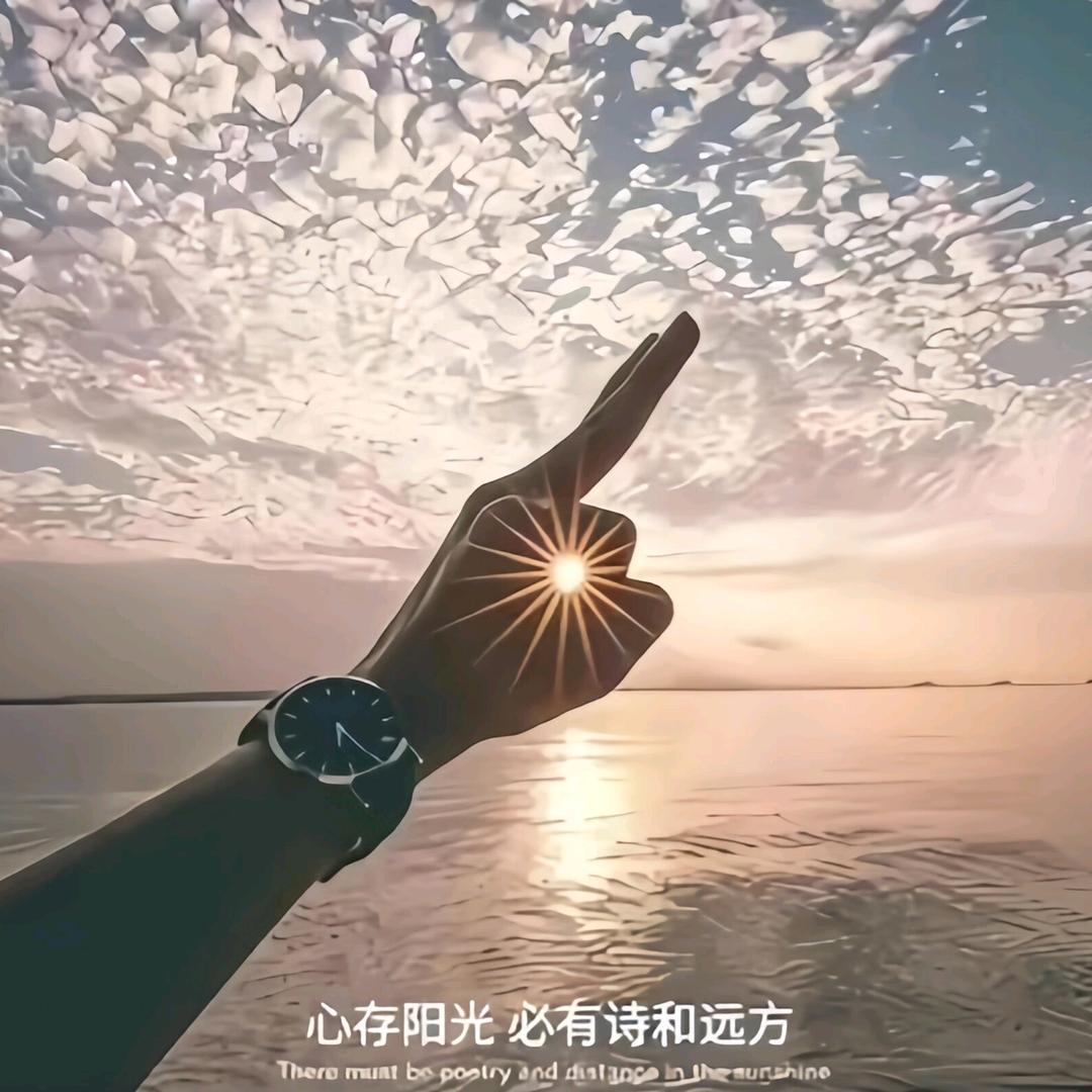 🌸 心已归零 🌸