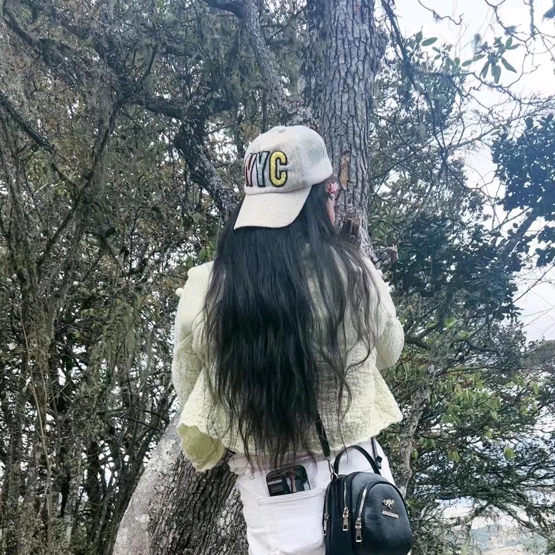 紫甘蓝