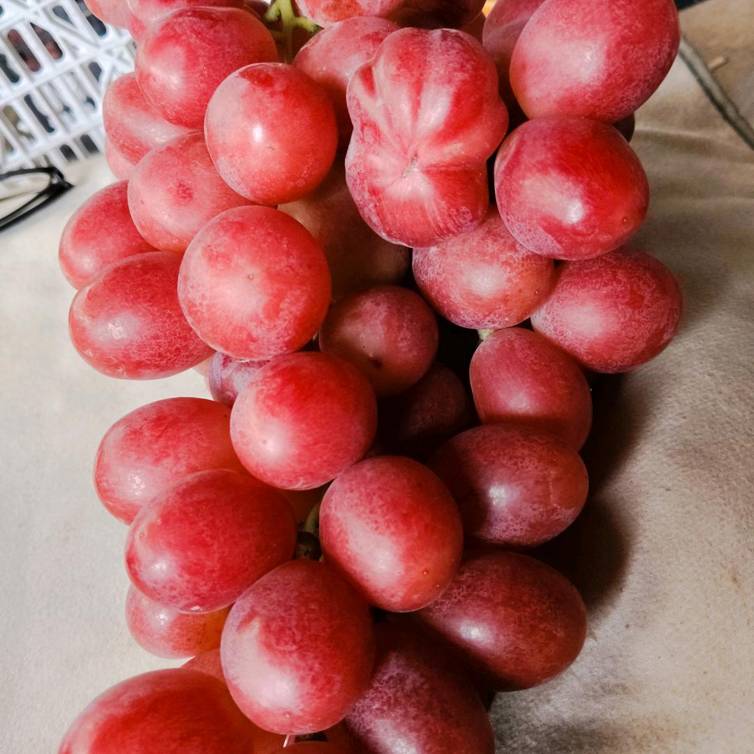 退一步海阔天空！忍一时风平浪静！