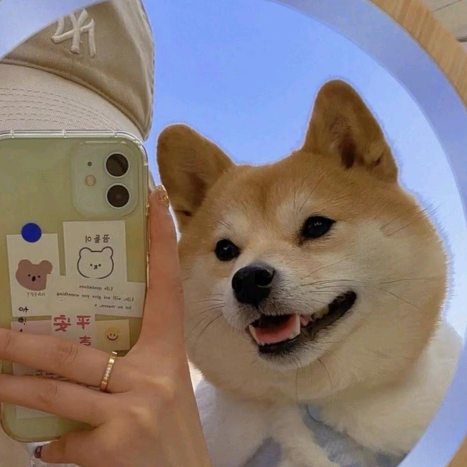 擅长睡懒觉