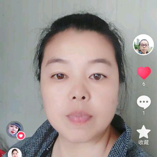 芬华